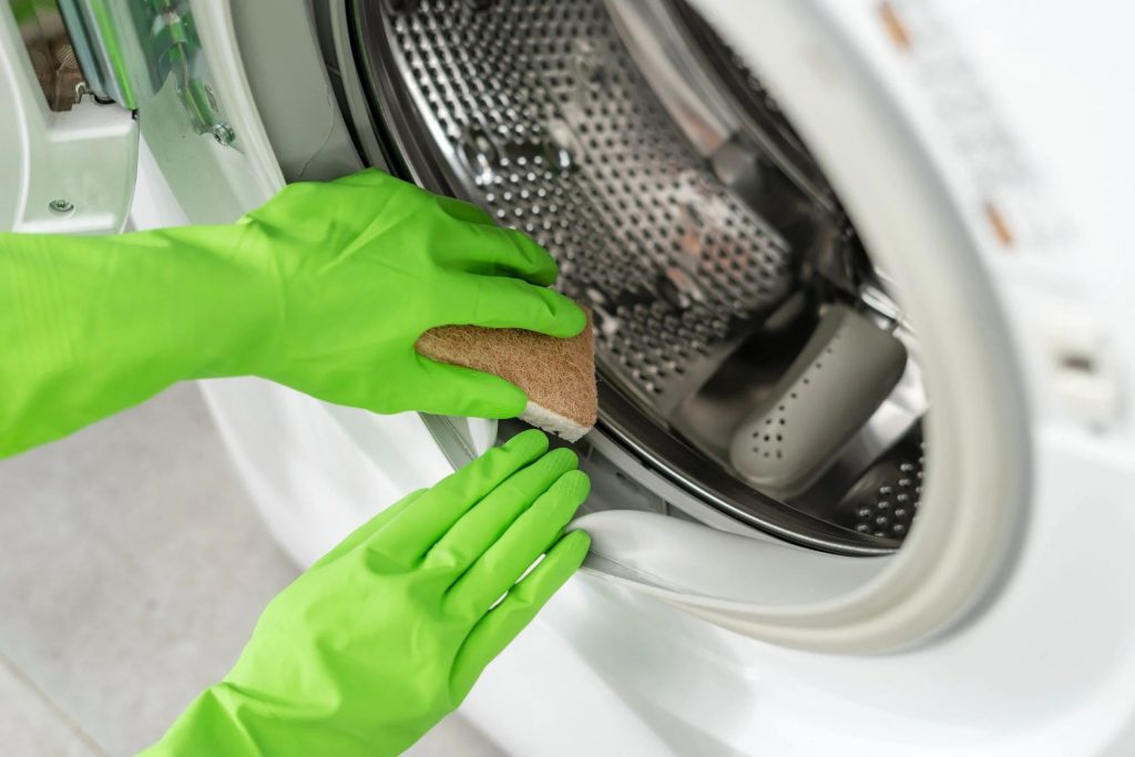 Can You Get Mold Out of a Washing Machine